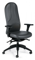 Ergonomic Chair