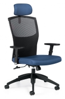 Fauteuil Ergonomique